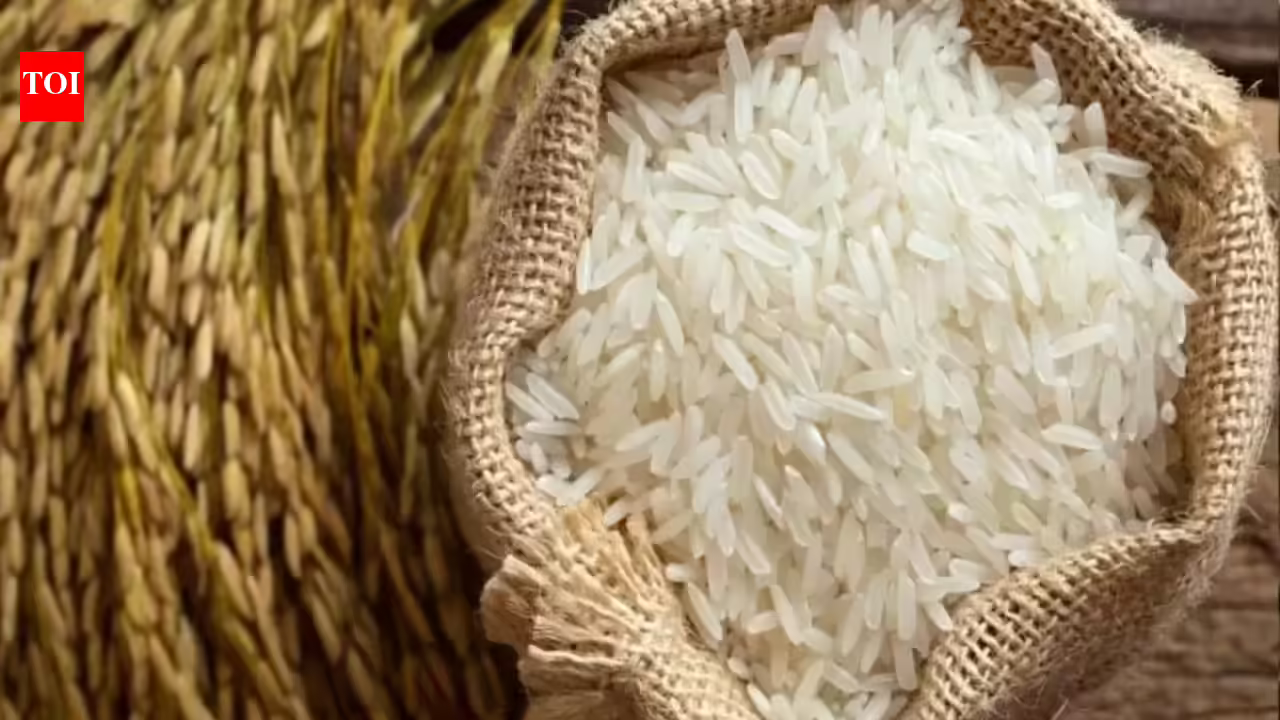 Middle East conflict hits rice traders: Basmati exporters left pending payments; funds ranging Rs 2,000 to Rs 25,000 crore in limbo